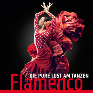 Die pure Lust am Tanzen (Flamenco)