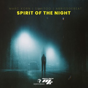 Spirit of the Night (Instrumental Edit)