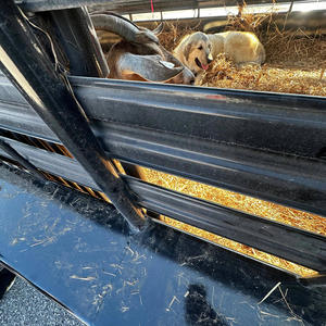 Get it sexy (feat. Luh ton, 1gsmoon & Li bray) (Explicit)