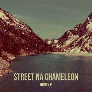 Street Na Chameleon