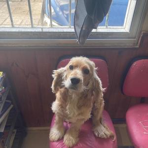 Sacame de aca bae (feat. Keyseo & Brixed)