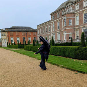 You Just Need To See