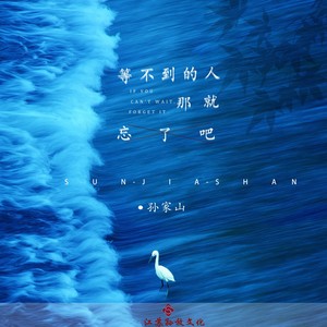 等不到的人那就忘了吧 (DJ版)