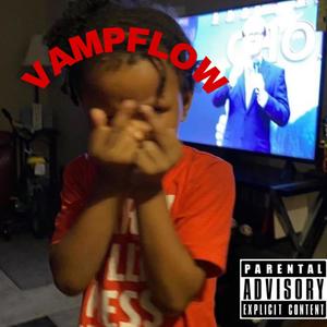 VAMP FLOW (Explicit)