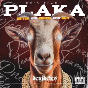 Plaka (feat. Emeka Piña, Vaker & Junnior) [Explicit]