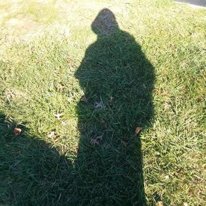 the purpose of torpor