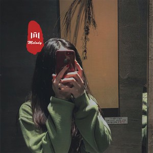 社会摇车载 (DJ版)