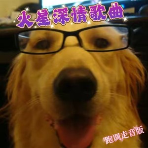 暗里着迷 (Live)封面