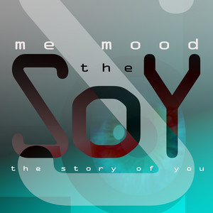 The Story of You