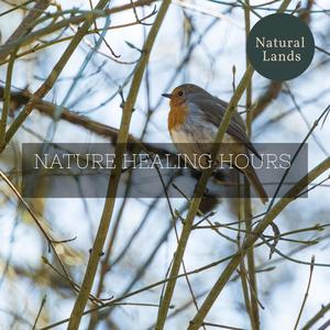 Celebratory Birds Feasting