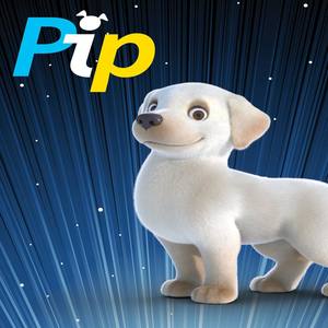 Pip