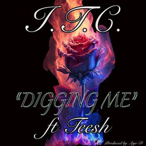 Digging Me (feat. Teesh) [Explicit]