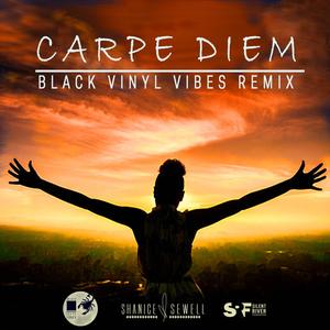 Carpe Diem (feat. Black Vinyl Vibes) [BVV Remix]