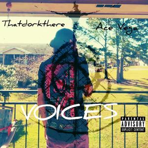 Voices (feat. Ace Vega) (Explicit)