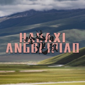 哈达向北飘 (DJ版)