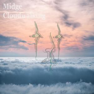 Cloudwalking