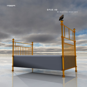 Opus 40