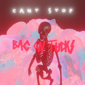 Can't Stop (Explicit)