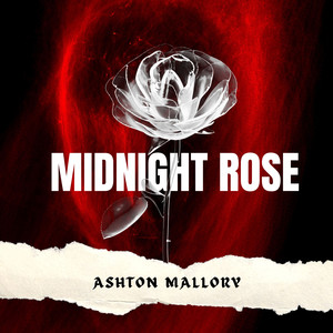 Midnight Rose