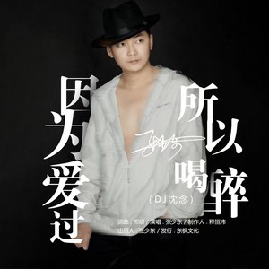 因为爱过所以喝醉 (DJ沈念版)