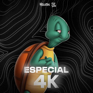MEGA FUNK ESPECIAL 4K