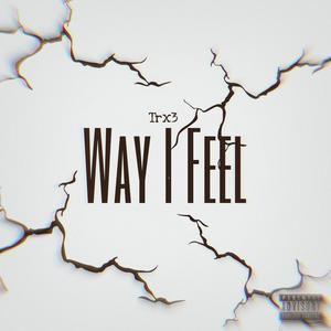 Way I Feel (Explicit)