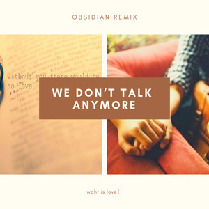 We don't talk Anymore（Remix）