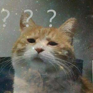 为什么为什么为什么你快说啊 (Prod.Jianastic.X)