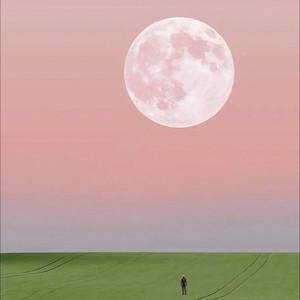 沈矜栀 - 兜圈 (改编版原唱: 林宥嘉|钢琴版)