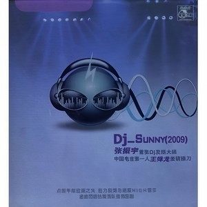 不要再来伤害我 (DJ版)