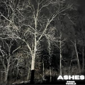 Ashes (feat. Tenoji)