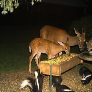 i wish you were in my state