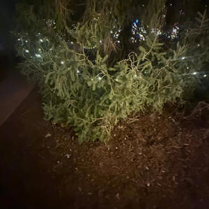 FALLING FOR YOU (feat. YKJUSS)