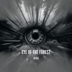 Eye Of The Forest