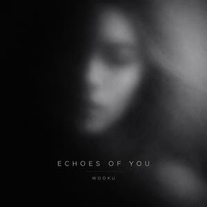 Echoes of You