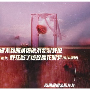 做不到的承诺就不要对我说mix野花做了场玫瑰花的梦(DJ九零版)