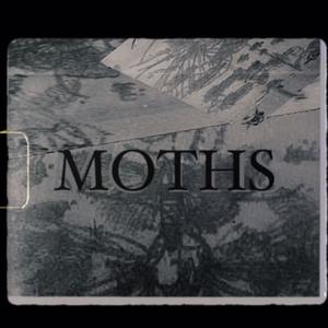 MOTHS (TALK OF THE TOWN) [Explicit]