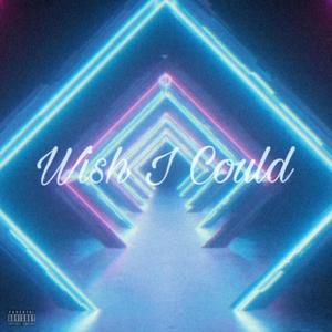 Wish I Could (Explicit)