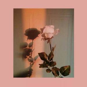 怎么样才算彻底忘记一个人-小阿宛