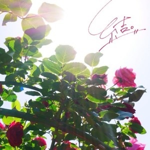 結。 (小春六花 ver.)