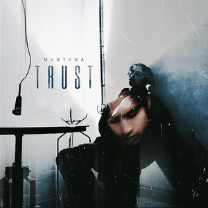 Trust (Explicit)