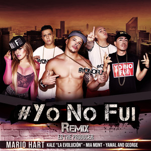 Yo no Fui (Remix)