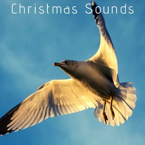 Christmas Sounds