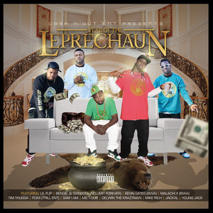 Year of the Leprechaun (Explicit)