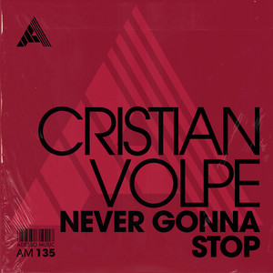 Never Gonna Stop (Extended Mix)
