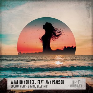 What Do You Feel (Dub)