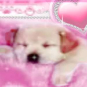 telling u secretz (Explicit)