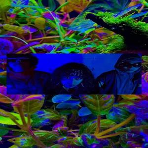 POPS CAMERA ACTION (Explicit)