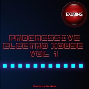 Progressive Electro House, Vol. 4