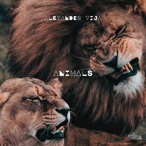 Animals (Radio Edit|Explicit)